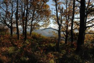 Fotografia z galérie ubytovania Cabane et potager sud Cévennes, jacuzzi en option v destinácii Roquedur