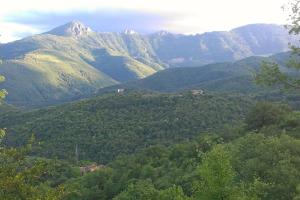 vista su una catena montuosa con alberi e montagne di Cabane et potager sud Cévennes, jacuzzi en option a Roquedur