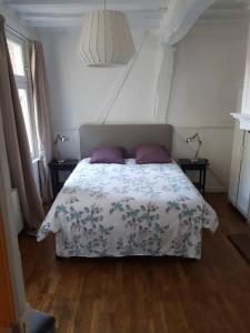 - une chambre avec un lit et 2 oreillers violets dans l'établissement A 2 PAS DU PARLEMENT - 55M2 - 2 CHAMBRES, à Rennes