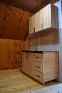 a kitchen with a sink and wooden walls at Srna Chalet in Žabljak