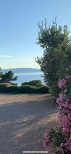 Paisagem natural perto do bed and breakfast