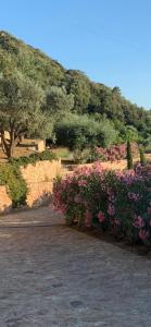 Paisagem natural perto do bed and breakfast