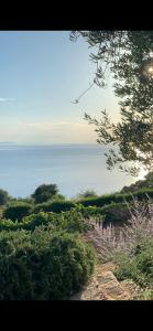 ポルト・サント・ステーファノにあるStella d'Argentoの植物の丘から海を望む