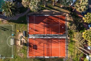 een uitzicht over een tennisbaan met palmbomen bij The Bay Hotel in Kaapstad