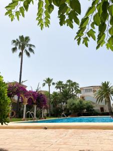einen Pool in einem Resort mit Palmen in der Unterkunft EL PATIO - apartment LA LUBICA in Denia