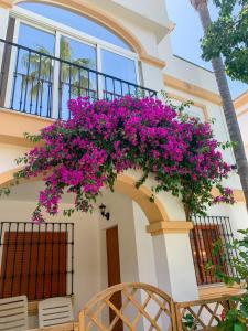 Balkón alebo terasa v ubytovaní EL PATIO - apartment LA LUBICA