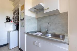 a small kitchen with a sink and a refrigerator at Le Studio d'Isa in Seigy