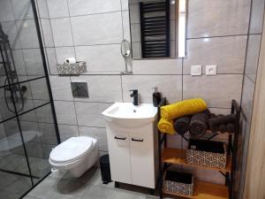 Kúpeľňa v ubytovaní Apartament Karamba + 37 fotografií
