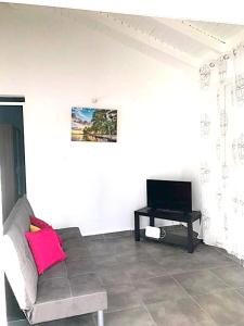 a living room with a couch and a tv at Villa enchanteresse au Moule avec piscine privée in Le Moule