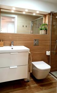 格拉納達的住宿－Road Sierra 95 Habitación privada con baño y zona de cocina，一间带水槽、卫生间和淋浴的浴室