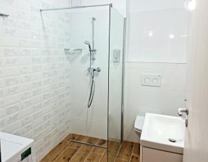 une salle de bain avec une douche, des toilettes et un lavabo dans l'établissement APARTAMENT ANTIK No6 ALBA IULIA, à Alba Iulia 28 autres photos