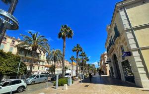 ulica z palmami i samochodami zaparkowanymi na ulicy w obiekcie La Maison de Lily, cosy dans le Vieux-Hyères, parking gratuit w Hyères