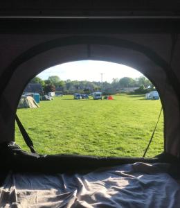 a view from inside a tent looking at a field at Hexham Tentbox Hire in Hexham