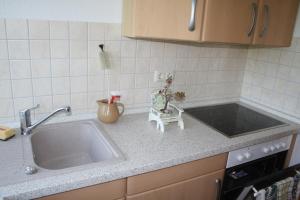 a kitchen counter with a sink and aaucet at Wiesenblick in Loitz