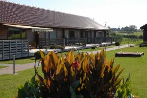 Galeriebild der Unterkunft Dvarčėnų dvaras in Dvarčėnai