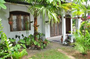 una casa con un montón de plantas delante de ella en Homestay Orchid, en Mahawatta