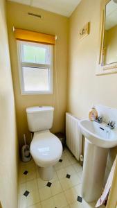 ein Badezimmer mit Toilette und Waschbecken in der Unterkunft Ferienhaus Vienna am Kronensee in Ostercappeln + 18 Fotos