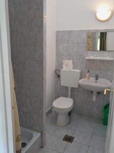 a small bathroom with a toilet and a sink at Boglár-Coop Üdülő in Balatonboglár