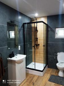 een badkamer met een douche, een toilet en een wastafel bij Domki nad rzeką w Komańczy in Komańcza