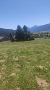 a large field of grass with trees in the background at Le hameau des 4 saisons 5 personnes in Bolquere Pyrenees 2000