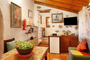 a living room with a television and a table with a plant at Casita Bentayga in Tejeda