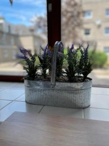 a metal planter with purple flowers in a window at Charlotte Street Apartment in Aberdeen