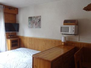 Televizors / izklaižu centrs naktsmītnē Studio Valloire, 1 pièce, 3 personnes - FR-1-263-491