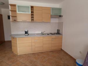 Kuchyň nebo kuchyňský kout v ubytování Apartments Lacic 3