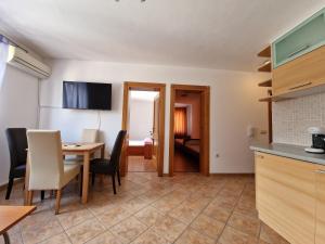 Kuchyň nebo kuchyňský kout v ubytování Apartments Lacic 3
