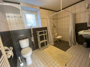 a bathroom with a toilet and a sink at Les gites du buisson in Fréhel +70 photos