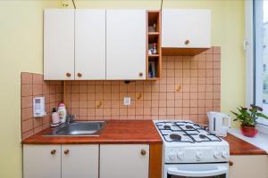 uma cozinha com um lavatório e um fogão forno superior em Apartament Gdynia em Gdynia
