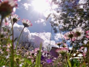 Zahrada ubytování Albergue Finca El Mazo