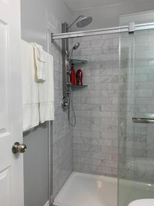 a bathroom with a shower with a glass door at Ambiance by the Falls Cozy Suite in Niagara Falls