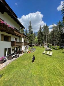 a dog sitting in the grass next to a house at Lamirì in Badia