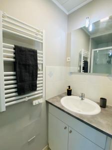 Baño blanco con lavabo y espejo en Esprit Cosy Centre Ville, en Roanne