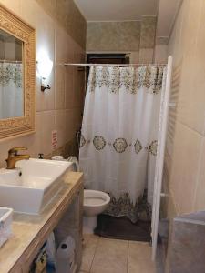 Koupelna v ubytování traditional house in Androni