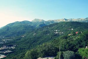 a view of a mountain with trees and houses at Top Jaz Apartments in Budva