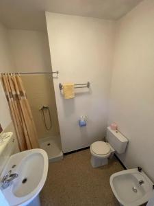 ガレリアにあるAuberge Galerisのバスルーム(洗面台、トイレ、シャワー付)