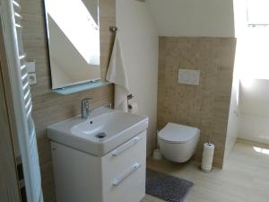 a bathroom with a sink and a toilet and a mirror at Apartmány Zlatý Hamr in Svoboda nad Úpou