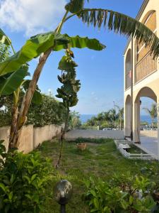 a banana tree in a yard next to a building at Residenza Azzurra in Tropea