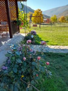A garden outside Apartmani Petar