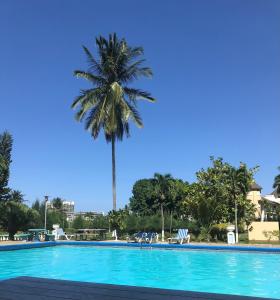 a palm tree towering over a swimming pool at Ambleside & Turtle beach towers in Ocho Rios +4 photos