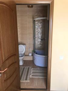 a bathroom with a toilet and a bath tub at Берег in Bosteri +70 photos
