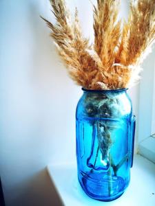 a blue glass jar with wheat spikes in it at The Snug in Dunoon