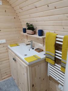 uma casa de banho com um lavatório numa cabina de madeira em Le mélèze heureux 