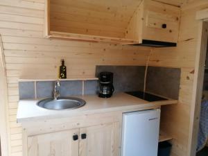 ein Badezimmer mit einem Waschbecken in einem winzigen Haus in der Unterkunft Le mélèze heureux 