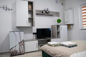 a living room with a tv and white cabinets at CASEROM Studio in Satu Mare