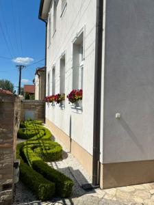 Budova, kde se the country house nachází