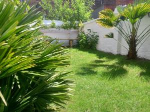 a garden with green grass and palm trees at 3 Queens in Bruges