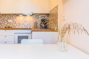 Kuchyň nebo kuchyňský kout v ubytování Adris apartments